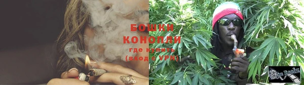 PSILOCYBIN Балабаново