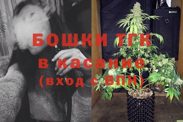 PSILOCYBIN Балабаново