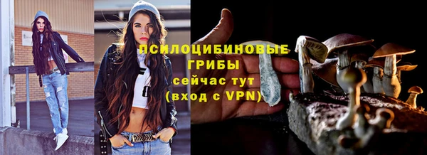 PSILOCYBIN Балабаново