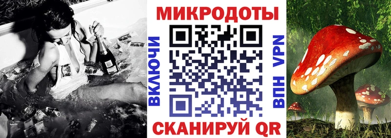 Галлюциногенные грибы Cubensis  Нижние Серги 